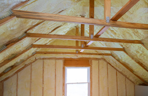 Best Insulation Maintenance and Repair in Dawsonville, GA