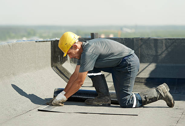 Best Commercial Insulation in Dawsonville, GA