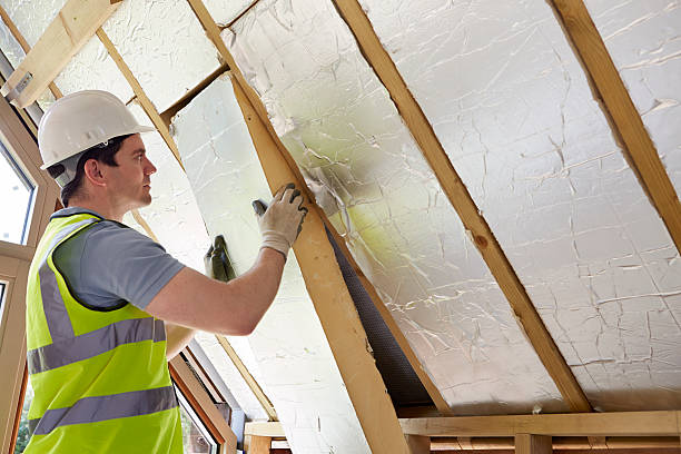 Best Residential Insulation in Dawsonville, GA